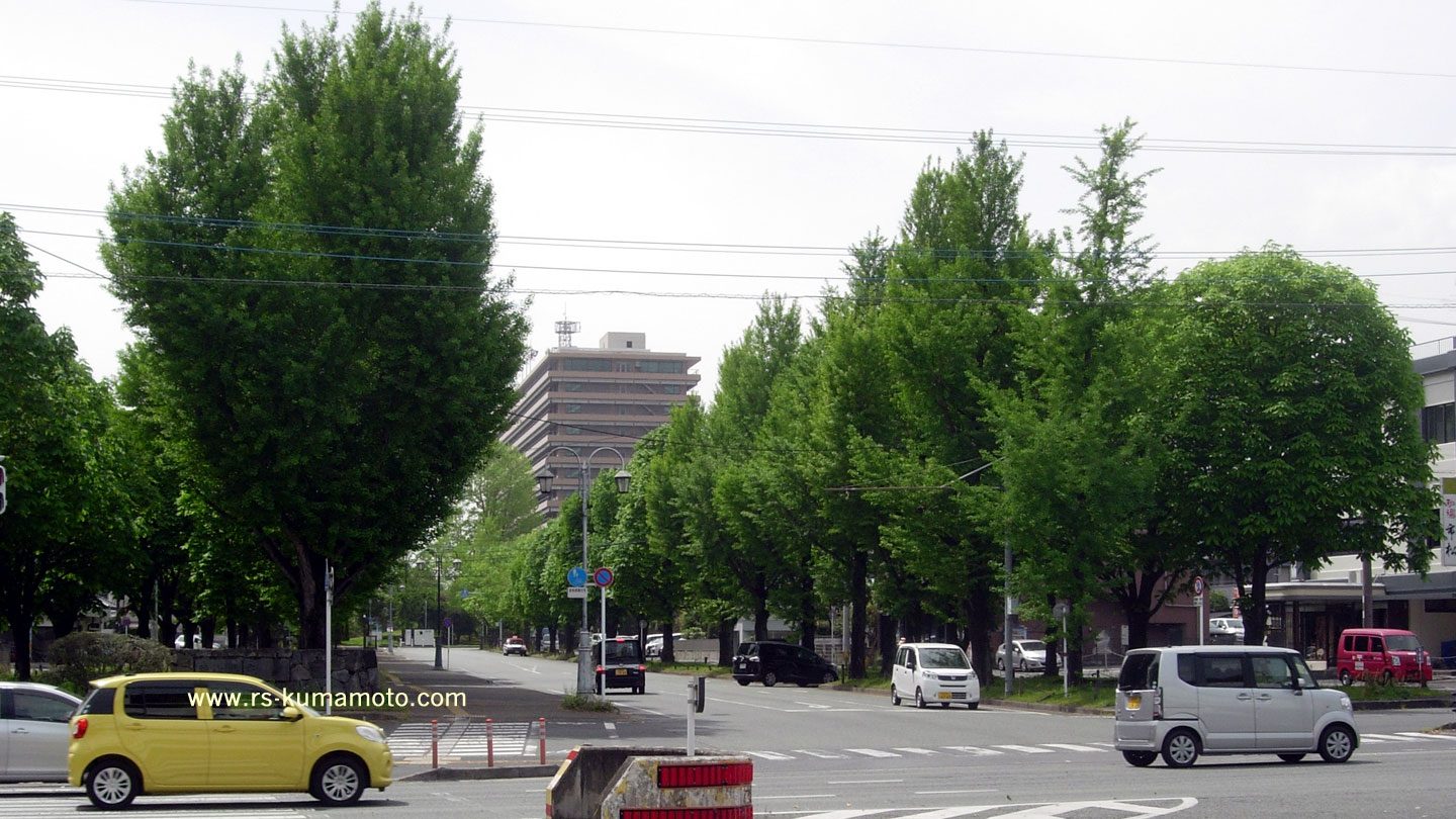 県庁東門通り入口　2018年5月撮影