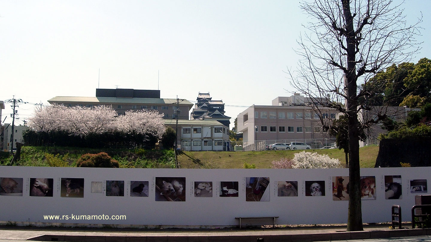 千葉城町の県道１号から市役所の古京町別館裏を望む　2009年3月撮影