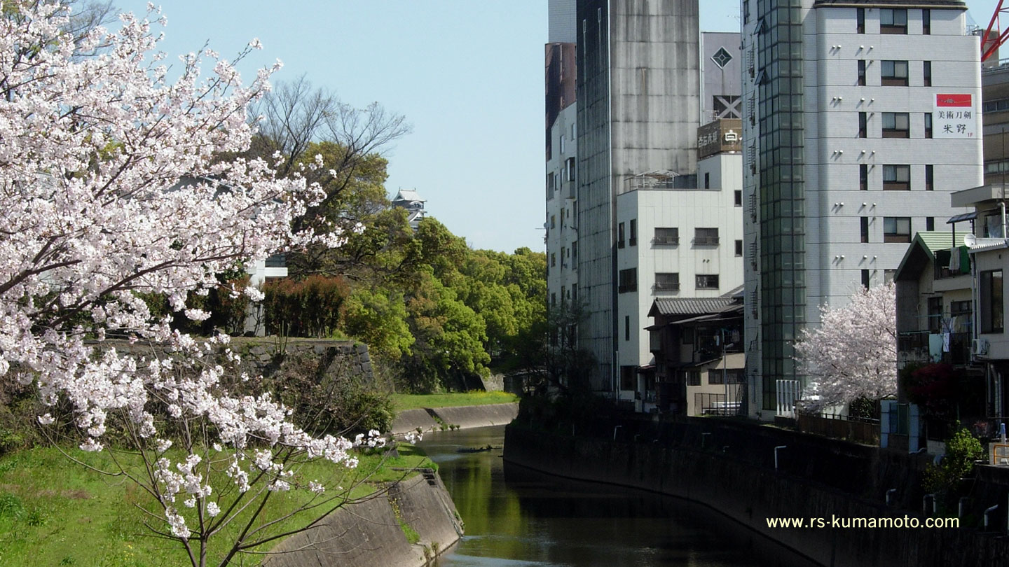 洗馬橋から天守閣方向にかけて彩る桜　2009年3月撮影