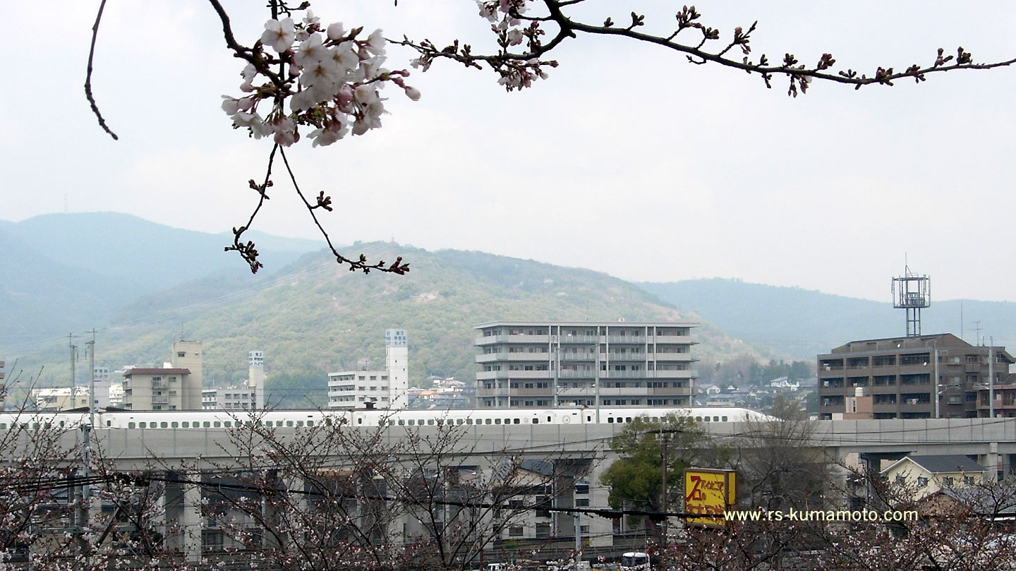 熊本城内藤崎台から見た九州新幹線800系「つばめ」　2011年3月撮影
